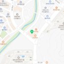 퍼피루시드 | 퍼피루시드 겁이 많은 푸들아가 밍구 목욕 하고 갔어요!