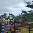 카앤카즈렌트랑리스랑 네이버블로그