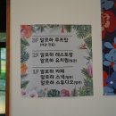 솜솜 애견미용 | 화성 애견운동장 &amp; 반려견 복합시설 알로하디디 후기