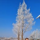 명품드림 이미지