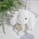 노블 소프트 이미지