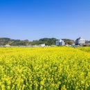 능포수변공원 네이버블로그