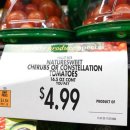 덕향의 미국편지(4337).‘특파원보고 세계는 지금’ 치솟는 물가에 분노한 美 시민들 “트럼프, 이미지