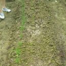 주용농장 이미지