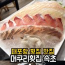 희망1길 | 대포항 머구리횟집 속초 애견동반 | 회·물회·대게·주차 솔직후기