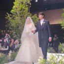 국민 여동생 기부천사 김연아가 결혼했다. 이미지