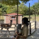 2022-주190 이미지