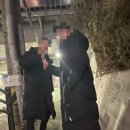 선샤인 피티샵 이미지