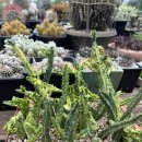 우각농장 이미지