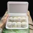 동해호이모 | 속초 대표 맛집 모음zip.금이야옥이야 신유네회포장 육구방앗간 오징어난전 가격 위치 꿀팁 예약 후기