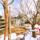 대나무집 | 정원 뷰가 미친 운주사맛집 화순밥집 대나무집