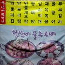 영통중앙공원 Daum카페