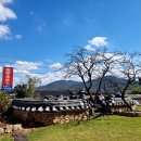 새금다정자 이미지