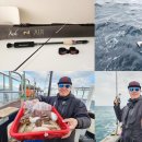 (주)인천오토컴퍼니 | 심해 갑오징어 로드 추천 JS컴퍼니 잉크 엔 에어 B592MH-CST 전용 낚시대