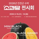 소과담