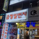양곱창일번지 | 성남 야채곱창 식당 곱창일번지 / 계획형 J가 유연하게 방문한 내돈내산 후기