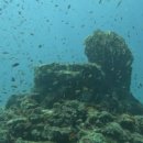 레몬트리 호텔(Lemon Tree Hotel) 이미지