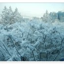 (주)남양관광