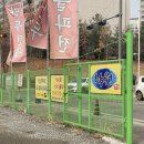 김밥천국장기점 이미지