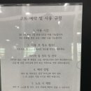팜테니스