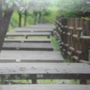 민주지산자연휴양림야영장 이미지