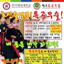 판교특공무술서