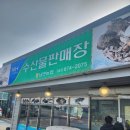 남면농업협동조합 | 태안 해산물 살 땐 여기! 남면농협 수산물판매장 솔직 후기[태안 해산물 사는곳, 태안 여행 코스 추천...