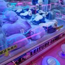 토이즈팝 이미지