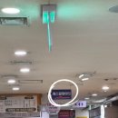 달별브로우랩 | 강남속눈썹펌 대청역 이화뷰티랩 , 달별브로우랩