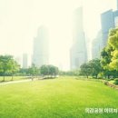 논곡중학교 내 네이버블로그