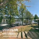 71 | 남양주 아유스페이스 후기 북한강 뷰 대형카페 야외자리까지 솔직리뷰