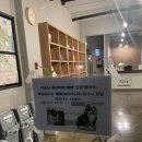 마음이 울적할땐 홀로 여행을.. 경주여행 (2)