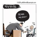 제주도 감귤 이미지