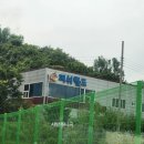 월드피시 이미지