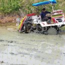 솔골농장 이미지