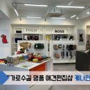 케나인애견용품 네이버블로그