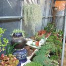 초야농장 이미지