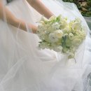 웨딩협찬 정보 공유 : 혀니웨딩 체험단 이용 후기