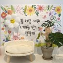 댕댕빌리지 이미지