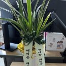 은혜전기조명
