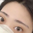 레빗브로우 이미지