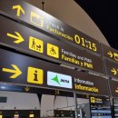 지금, 중국영화와 일본영화는 왜 몰락학고 있을까? | [스페인 대모험]Day+27 바르셀로나 고딕 지구 야경투어, 세비야에서 바르셀로나, 마일루나 카페