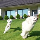 위드제이(WITH J) 이미지