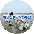 해가빛 - 춘천시 | 해가빛 캠핑장 해루질 후기 (feat.동죽파티와 충격의 감성돔)