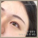 누누브로우 - 서구 | 누누브로우