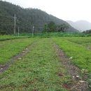 나주2농장 이미지