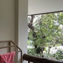 Philippines - 세부 3,4일차