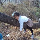 동백유치원 이미지