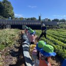 하이얀 어린이집 이미지