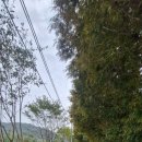 고양누리길 11코스 송강누리길 | 고양누리길11코스 송강누리길